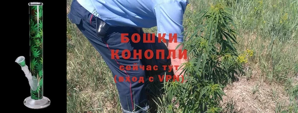 прущие крисы Бронницы