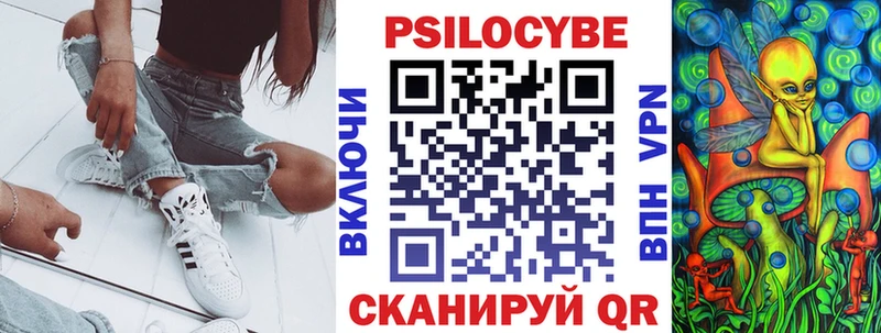 ОМГ ОМГ ТОР  Старица  Псилоцибиновые грибы мицелий  сколько стоит 